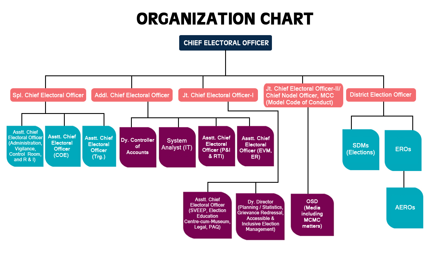Organisation Chart